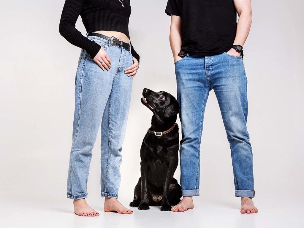 Dog Portrait Cambridge Photography