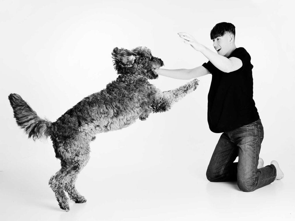 Pets Photography Cambridge